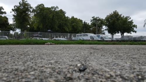 Saint-Flour Chevaux - 27-08-2022(0489).jpg